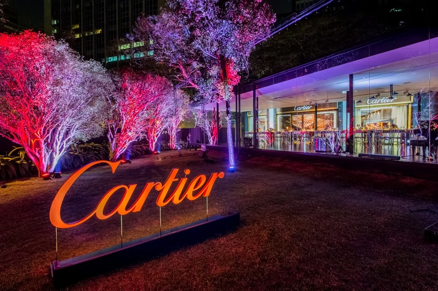 Cartier diamond (4)